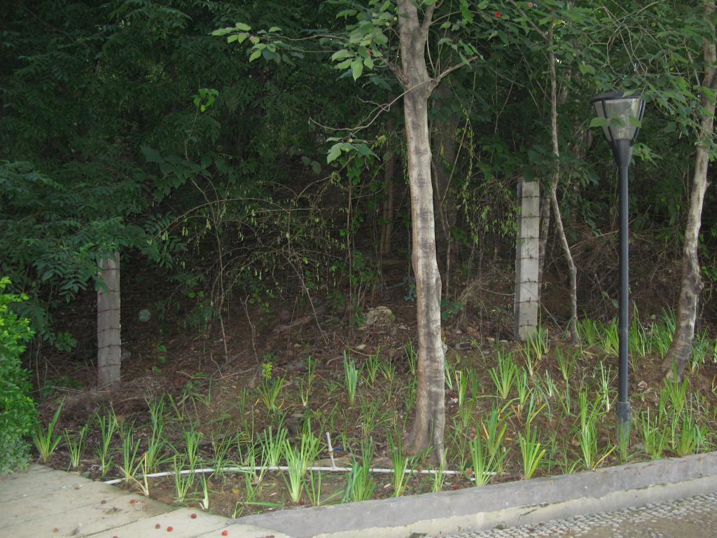 南苑校区临公园一侧
